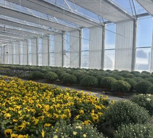 Árnyékoló rendszerek