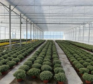 Árnyékoló rendszerek