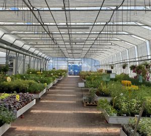 Árnyékoló rendszerek