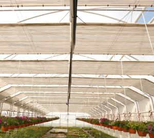 Árnyékoló rendszerek