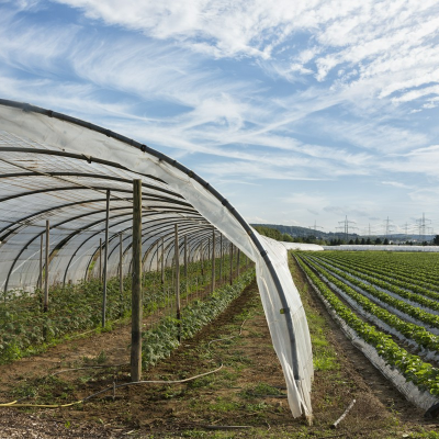 korzysci-z-uzycia-ocynkowanej-stali-w-konstrukcji-tunelu-foliowego